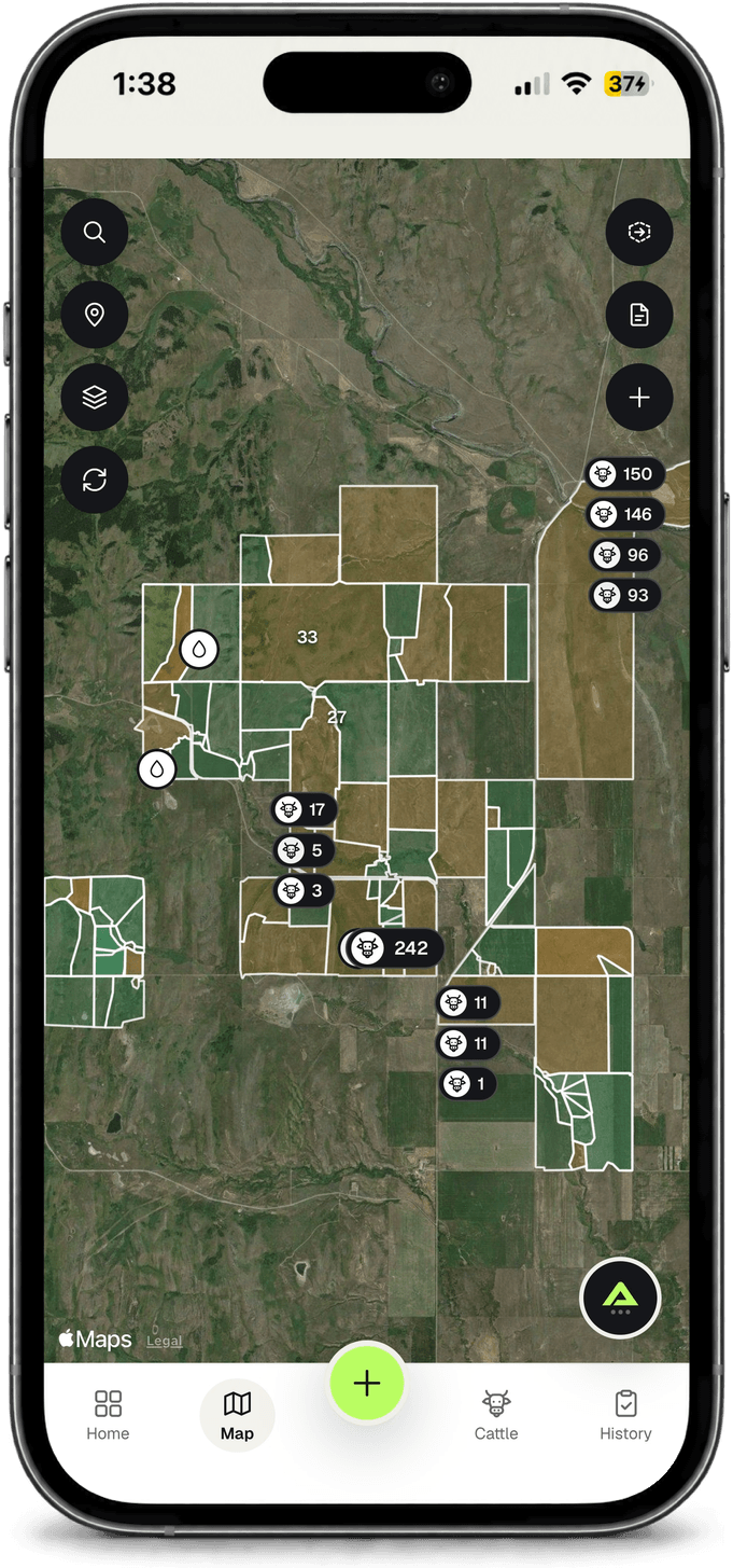 Pastures mapped over satellite imagery in the Agrivanna app, with the head count on each